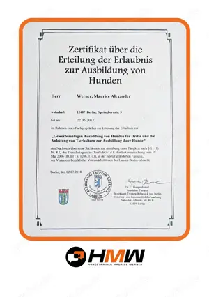 Professionelles Hundetraining   Persönlich oder auch via Videoanalyse Bild 2