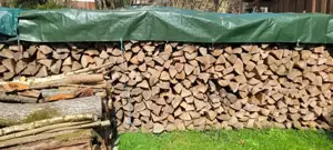 Holz im Kreis Freising zu verkaufen! Bild 2