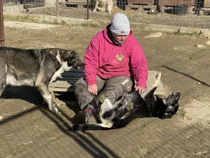 ERIK (Geb. 2021) - treu und herzlich ein Leben lang Bild 5