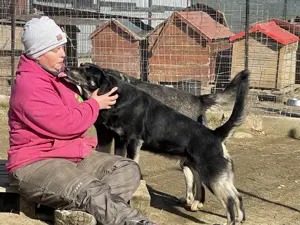 ERIK (Geb. 2021) - treu und herzlich ein Leben lang Bild 4