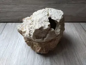 Dragon Wet Box Höhle Farbe Sand Stone (heller)