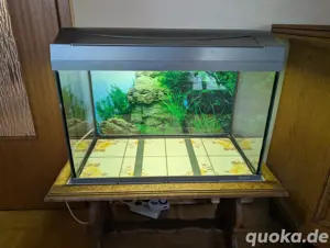 Tetra 60 Liter Aquarium 