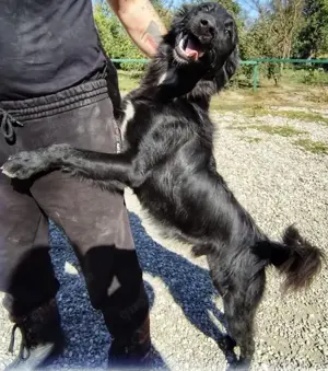 Batman, möchte endlich eine Familie finden
