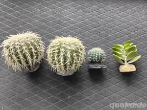 Dekoration für Aquarien & Terrarien