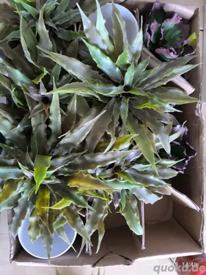 Dekoration für Aquarien & Terrarien Bild 2