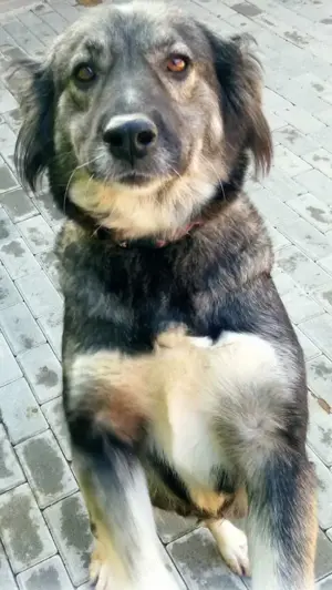 Wilma, möchte das Leben genießen