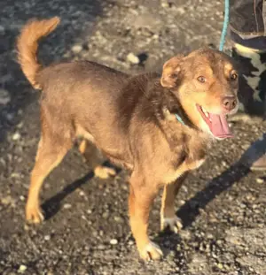 Super freundlicher Lucky   macht seinem Namen alle Ehre