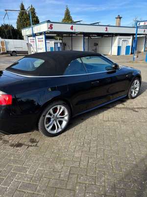Audi A5 Cabrio 3.0 TDI DPF (clean diesel) quat. S tron.