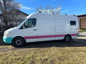 Mercedes-Benz Sprinter 316+CDI+Sprinter+906.131+EEV