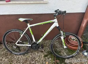 Bulls Mountainbike