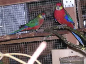 1,1 und 2,0 Stanley Sittich abzugeben