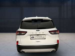 Ford Kuga 1.5 EcoBlue Titanium X Start/Stopp Bild 5