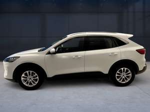 Ford Kuga 1.5 EcoBlue Titanium X Start/Stopp Bild 3