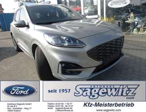 Ford Kuga 1.5 EcoBoost ST-Line X Navi DAB SHZ vh ACC