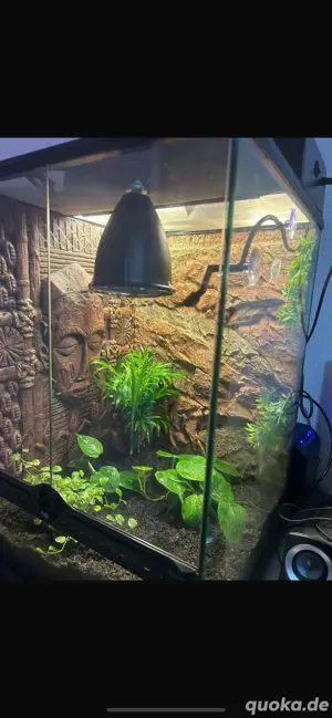 EXO terra 45x45x60