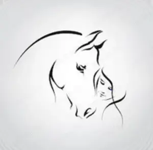 Ihr Pferd in besten Händen 