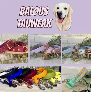 handgemachte Hundehalsbänder bei BalousTauwerk.de