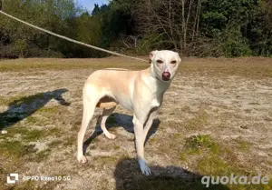 YASMIN wünscht sich eine eigene Familie Bild 10