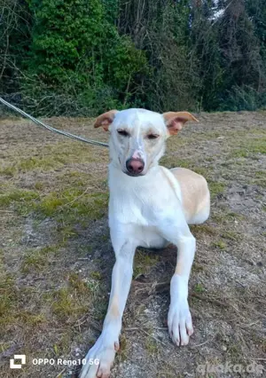 YASMIN wünscht sich eine eigene Familie Bild 4