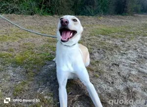 YASMIN wünscht sich eine eigene Familie Bild 3