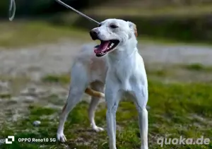 YASMIN wünscht sich eine eigene Familie Bild 2