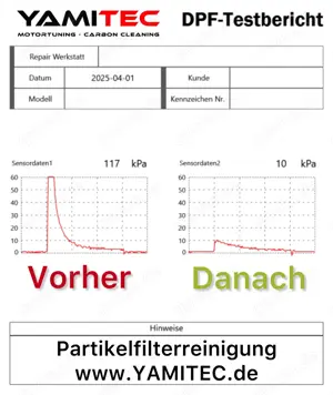 Partikelfilter DPF OPF KAT REINIGUNG Alle PKW Transporter 