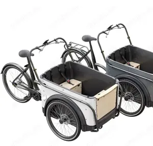 Welgo Lastenrad Miete - "Max" Royal Bike 