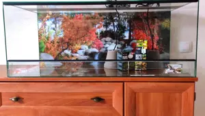Aquarien und Terrarien Bild 2