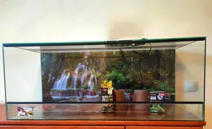 Aquarien und Terrarien Bild 3