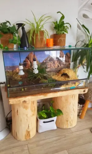 Aquarien und Terrarien Bild 4