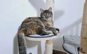 Kämpferin Patricia 			