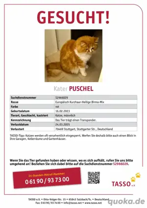 KATER VERMISST!