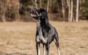 Zera sucht ihre Lieblingsmenschen Bild 3