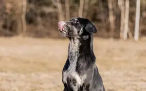 Zera sucht ihre Lieblingsmenschen Bild 6