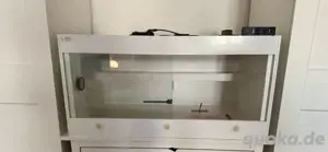 Pythonking Terrarium Kuntstoff ink Heatpanel