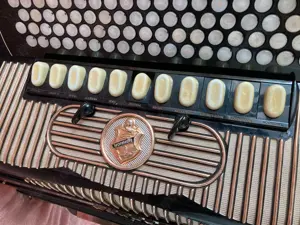 Hohner Akkordeon Gola 5-chörig Cassotto B-Griff flach 1963 Koffer Bild 3
