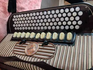 Hohner Akkordeon Gola 5-chörig Cassotto B-Griff flach 1963 Koffer Bild 2