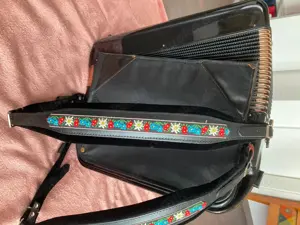Hohner Akkordeon Gola 5-chörig Cassotto B-Griff flach 1963 Koffer Bild 6