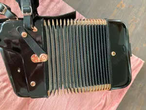 Hohner Akkordeon Gola 5-chörig Cassotto B-Griff flach 1963 Koffer Bild 5