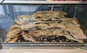 Selbstgebautes Terrarium 