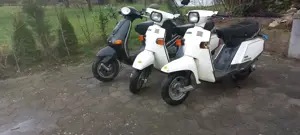 2 x Herkules Roller von 1982 Herkules CV 80 City Beluga Riva Bj 1982