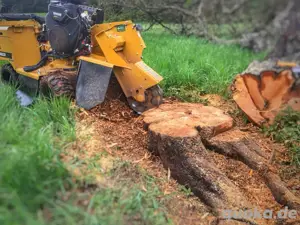 Baumwurzel, Baumstumpf, Wurzelfräsen, Stubben entfernen 