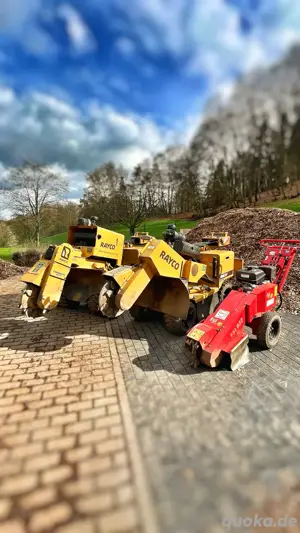 Baumwurzel   Baumstumpf entfernen, Wurzelfräsen, Stubbenfräse, Baumstumpf fräsen