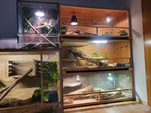 Terrarium nach Maß Bild 6