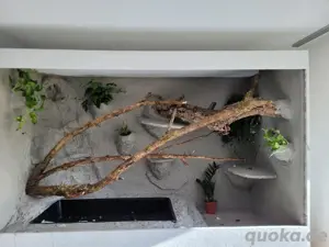 Terrarium nach Maß Bild 3