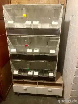 3 Zuchtkäfig Vögel mit Schrank 