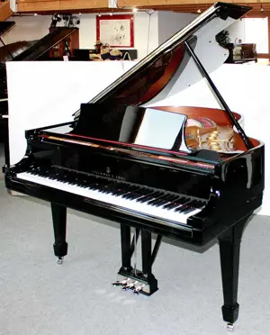 Flügel Klavier Steinway & Sons M-170, schwarz poliert, Nr. 216916, 5 Jahre Garantie