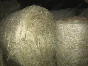 Heu Quaderballen und Rundballen
