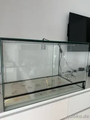Terrarium 