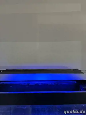 Aquarium Beleuchtung